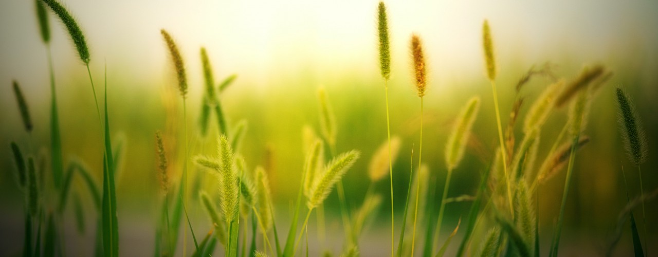 Spring into Action & Sign-up today!