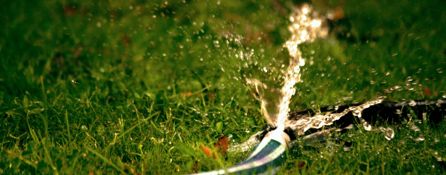 Water Use Efficiency
