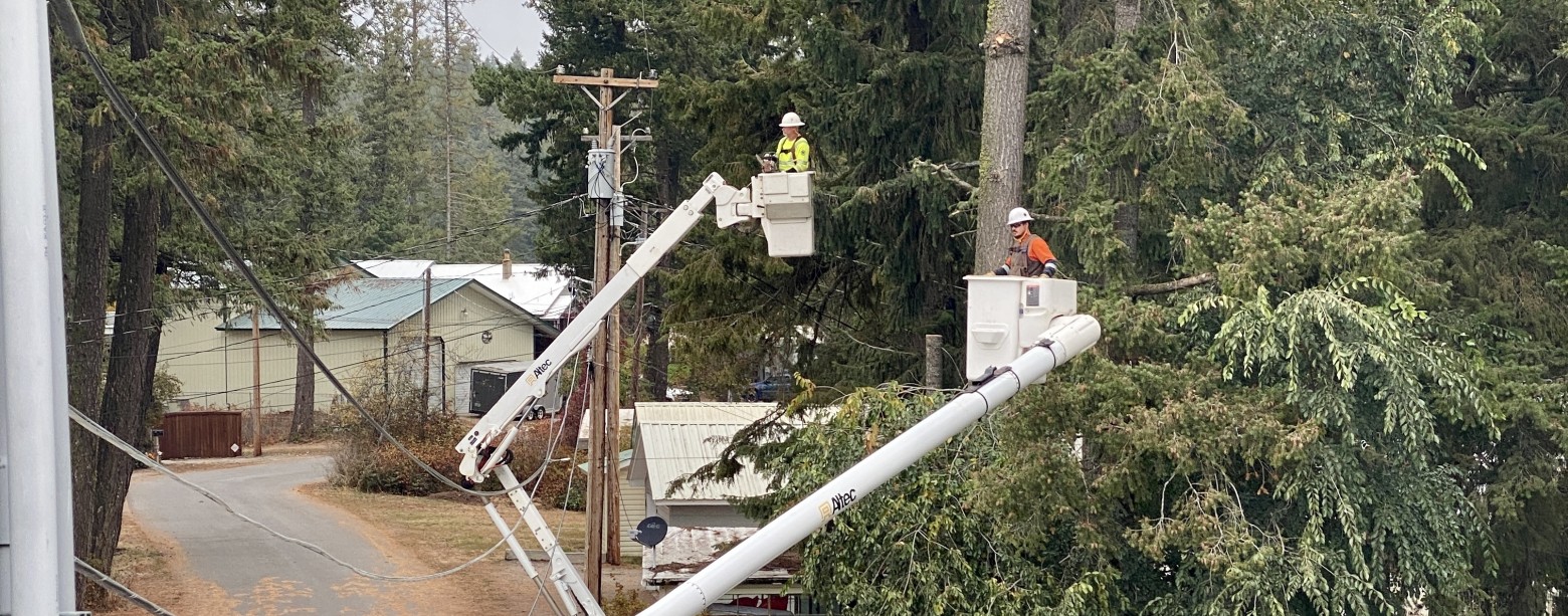 Right Tree, Right Place & Tree Safety