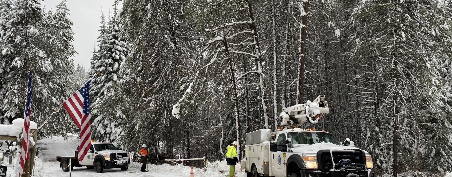 Holiday & Winter Energy Savings