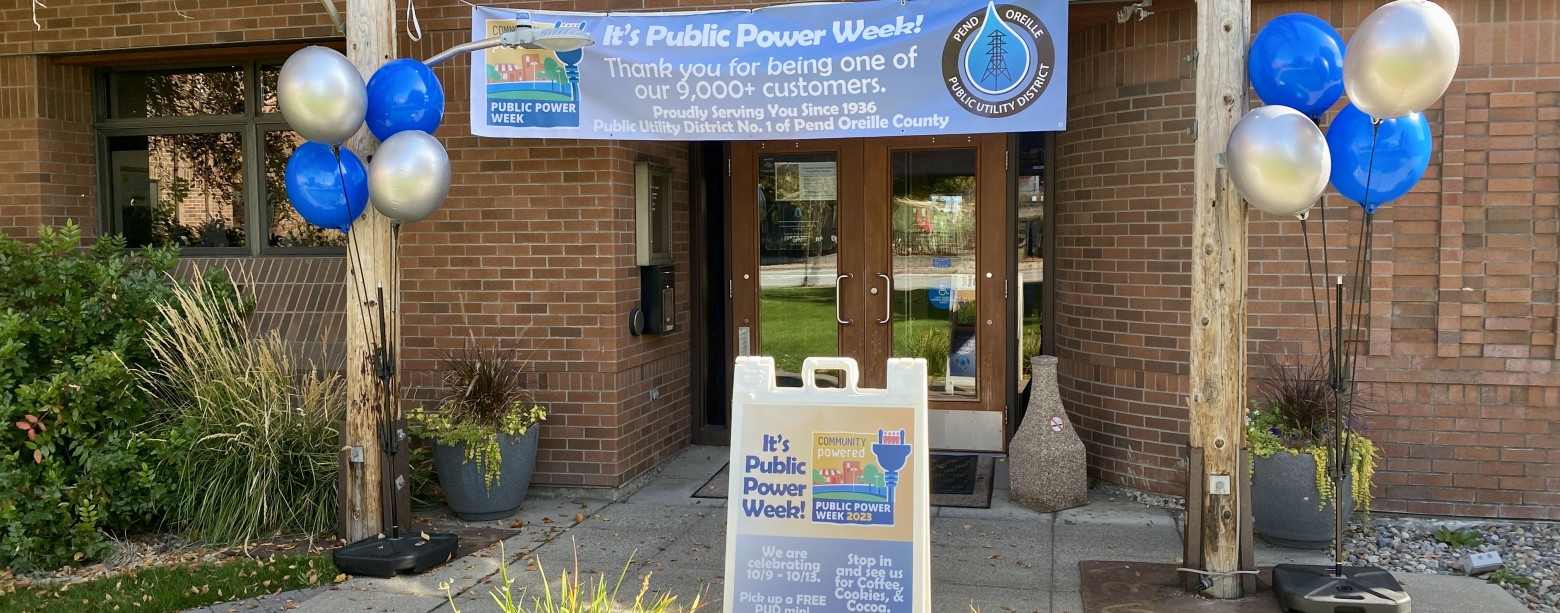Public Power Week