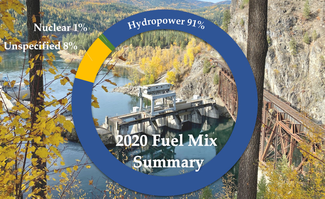 2020 Fuel Mix